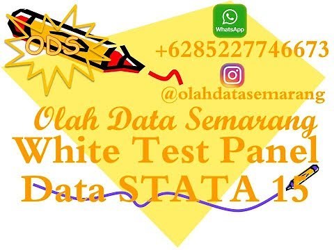 White Test Panel Data STATA 15