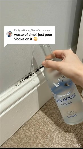 The best mold remover I’ve used 🔥