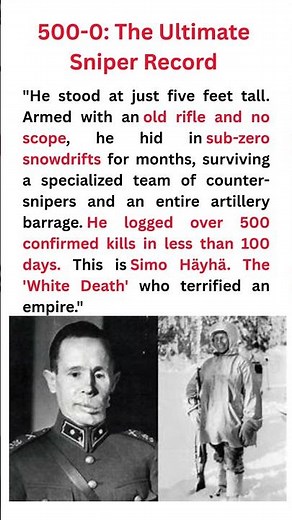 500 Kills in 100 Days: The White Death's Sniper Record #MilitaryHistory #WWII
