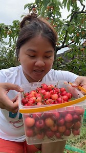 525K views · 8.2K reactions | Cherry with asim ang sarap pala. | Pearly Alms | Facebook