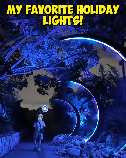 2.6K views · 35 reactions | #tb to My Favorite Holiday Lights in Los Angeles! ✨ | Yellow Productions Travel Guides | Facebook