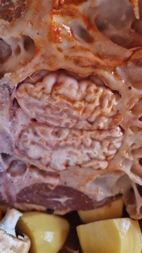 За петък вечер 6.03. ще приготвим телешка глава в пещ 🐮 За резервация на ☎️ 0894995996 или 0896636745 Намираме се в с. Церова кория, област Велико Търново.🏡 Локацията я има в гугъл карти 📍 #ферма #овце #животновъдство #месо #агне #природа #ресторант #семеенресторант #фермерскиресторант #истинскахрана #натуралнахрана #чеверме #селскакухня #прибаба #село #обяд #отфермата #насело #вкусно #храна #гозба #селскаманджа #selskitchen | Sels Kitchen