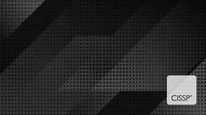 How Many CISSPs are There In the World?