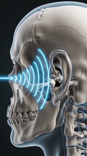 ਮੌਤ ਤੋਂ ਬਾਅਦ ਅੰਗ ਕਿੰਨੇ ਸਮੇਂ ਤੱਕ ਜ਼ਿੰਦਾ ਰਹਿੰਦੇ ਹਨ?What Happens to the Body After Death?#facts#science