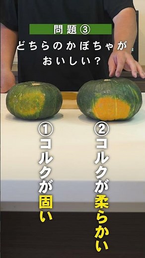 おいしいかぼちゃの選び方 #おすすめ #料理 #かぼちゃ #選び方