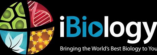 Introduction to Bioimage Analysis • iBiology