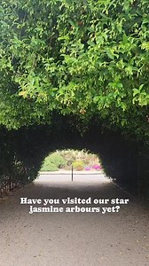 2.2K views · 82 reactions | Adelaide Botanic Garden on Reels | Facebook