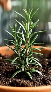 At first everyone laughed, at the end everyone applauded and was amazed by the result. | Simply Smart Homelife