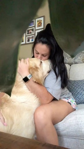 142K views · 18K reactions | How I ended up with 4 dogs  #goldenretriever #newfoundland #dogs | Charlie The Golden | Facebook