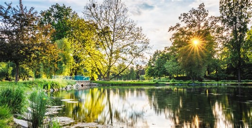 Springing into sustainability: Prague named European Forest City for 2025