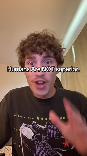 Why Trees Are the True Superiors of Earth