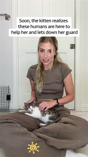 Cat Distribution System Knows Best!#CatDistributionSystem #cat #pet #heartwarming #family