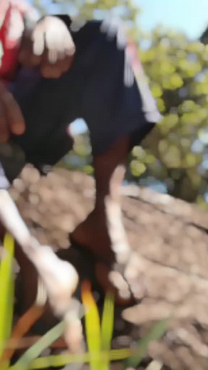 [ _TUTU_TIK_TOK_ ] (@_tik_tok_tutu_)’s videos with original sound - 🌈🥀|| S A N J A Y A 🌈🥀