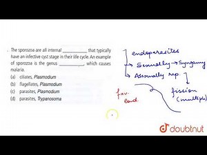The sporozoa are all internal ____ that typically have an infective cyst statge in their life cycle