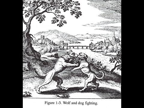 Mysterium Coniunctionis Seminar Announced and Discussed