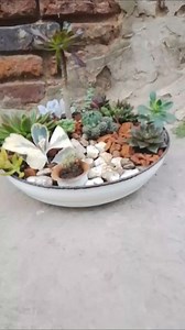 Te dejo unos tips para hacer un arreglo de suculentas 😊 #jimenajardinera #amantesdelasplantas #tips #arreglos #suculovers | Jimena Jardinera