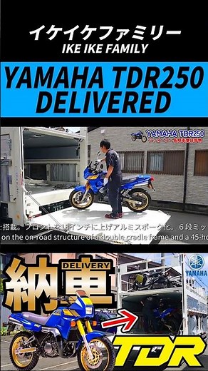 【バイク納車】YAMAHA TDR250 2スト250アドベンチャー 1988年【ラリーレプリカボディ×レーサーレプリカエンジン】#shorts