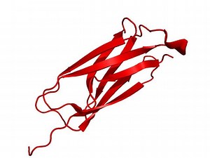 Alpha 2 Macroglobulin - Alchetron, The Free Social Encyclopedia