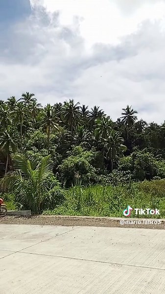 Mario Labro (@mario.labro7)’s videos with original sound - Mario Labro