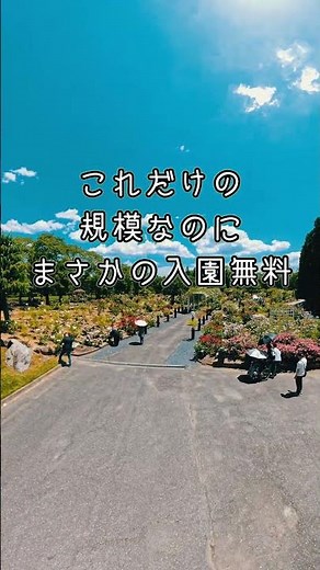 [Free] A heavenly rose garden just 1 hour from Hiroshima.