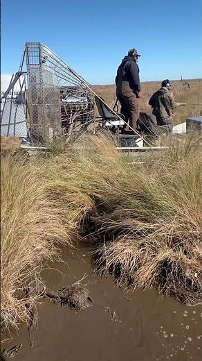 Killing nutria rats #louisiana #nutrias