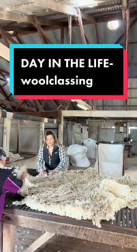 A Day in the Life of a Woolclasser: Shearing Shed Vlogs