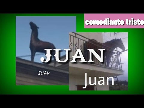 Juan Caballo Meme