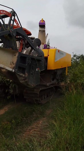 #farming #hardwork #farmlife #reallife #hardlife | Hard life