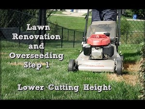 Lower Mowing Height - Fall Lawn Renovation and Overseeding Project Step 1