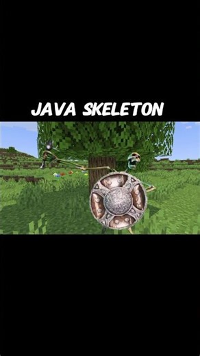 Java vs Bedrock skeleton aura 💀💀