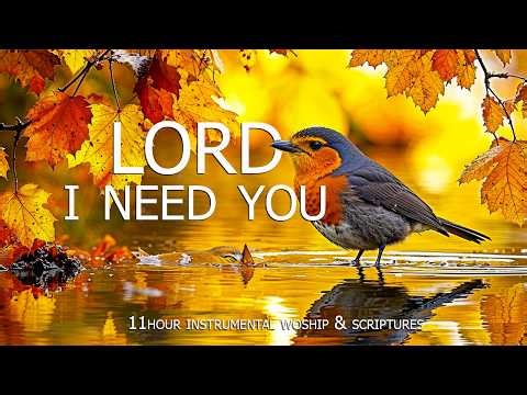 In Christ Alone: Soaking Worship, Prayer Music & Healing Music With Scriptures 🌿Christian Piano