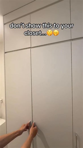Smart Hanger Pro | Space Saving Hanger on Instagram: "That moment your hangers are smarter than you 😭 #HomeHack #ClosetGoals #SmallSpaceLiving"
