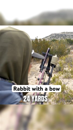 Rabbit with a bow #bowhunting #archery