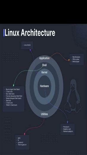 Inside Linux: Kernel, Shell & More 🔍