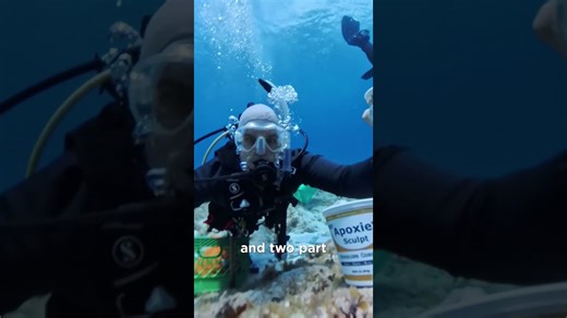 Nobody is talking about this