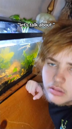 I LOVE PLANTED BIOACTIVE AQUARIUMS ‼️🔥💯🗣️🦅 #bioactivevivarium #bioactive #plantedtank #aquarium #aquascaping