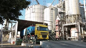 Panorama of unloading grain trucks at elevator on elevating hydraulic platform unloader. Grain crops transshipment at big sea terminal at seaport. Fast logictics concept.