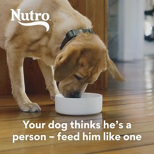 269 reactions · 15 shares | Support whole body health with recipes crafted without corn, wheat or soy. | Chewy | Facebook