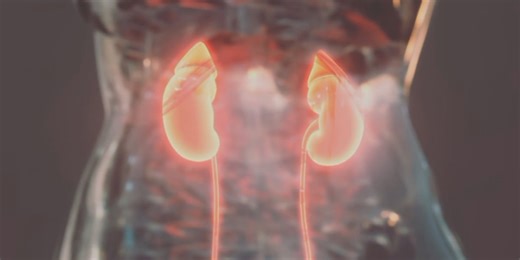 Kidney Damage: Common Habits That Can Cause It