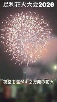 第110回 足利花火2026！50万人が見上げる夜空を彩る２万発の花火。500機によるドローンショーも！【栃木県足利市】#shorts