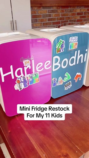 Mini Fridge Restock for My 11 Kids