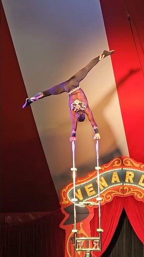 Incredible Balance Acts at Venardos Circus 🤹‍♂️✨