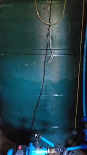 2.3M views · 46K reactions | Have I escaped the Matrix? #offgrid #offgridliving #offgridlife #vanlife #homestead | Field to Farm | Facebook