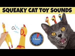 Squeaky Toy Sounds For Cats (ONE HOUR)