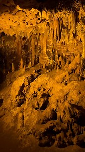 Details Below 👇🏼 . Florida Caverns State Park 📍 3345 Caverns Rd, Marianna, FL 32446 . Florida Caverns State Park is one of Florida’s biggest surprises—the only place in the state where you can tour real underground limestone caves, complete with towering stalactites and eerie rock formations shaped over millions of years. It feels more like a hidden underground world than anything you’d expect to find in Florida. . Why visit: • It’s the only Florida state park with guided cave tours, letting 