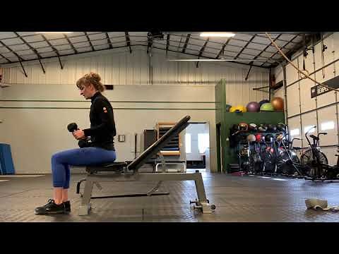 Seated Tricep Kickbacks