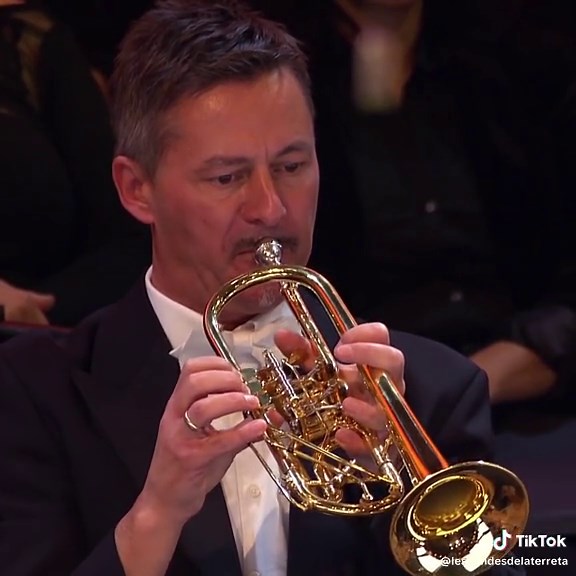 Orchestral Performance: Conductor and Musicians Unite