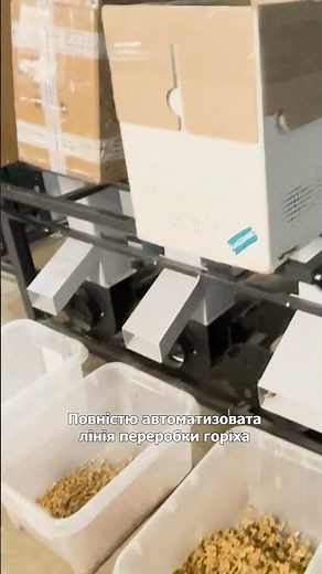 FULLY AUTOMATED Walnut Processing Line #walnut #walnut #garden