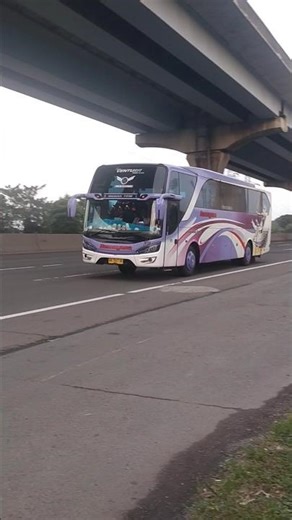 Bus TELOLET RAMAYANA Beraksi di Tol Cikampek #mobilbasuri #busmania #basuri #buspariwisata