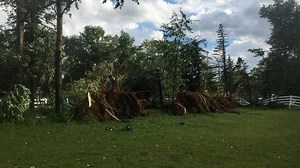 Wind, hail take down trees in Kingfield